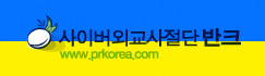 사이버외교사절단 반크